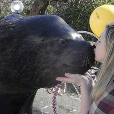 Safari Park d�Abruzzo -  foto 5