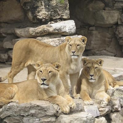 Citt� della Domenica -  foto 8