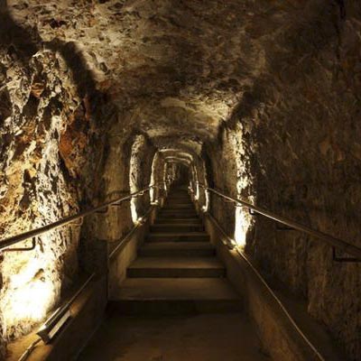 Grotta Gigante -  foto 3