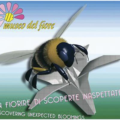 Museo del Fiore -  foto 1