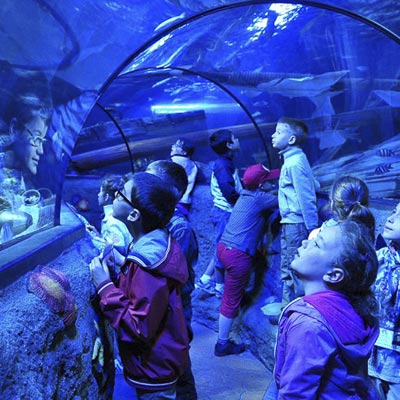 Sea Life di Jesolo