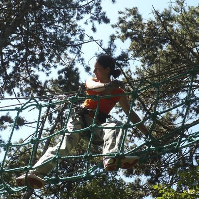 Jungle Adventure Park