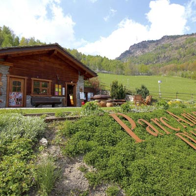 Parc Animalier d�Introd  -  foto 1