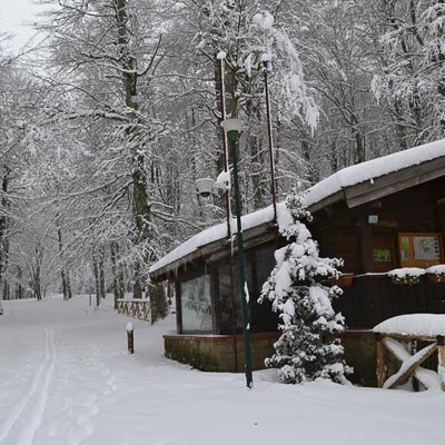 Museo del Lupo Viggiano -  foto 1