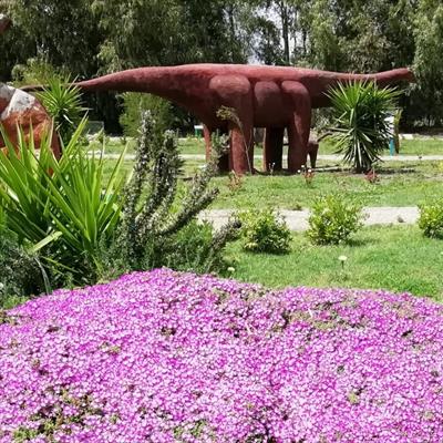 Dinosardo Parco Paleontologico -  foto 2