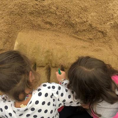 Dinosardo Parco Paleontologico -  foto 3