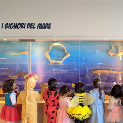 Museo del Mare  -  foto 5