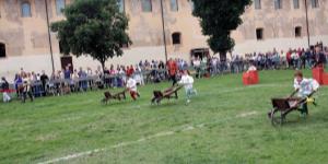 Palio dei Fanciulli
