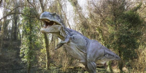 Modello di T-Rex ruggente in un bosco