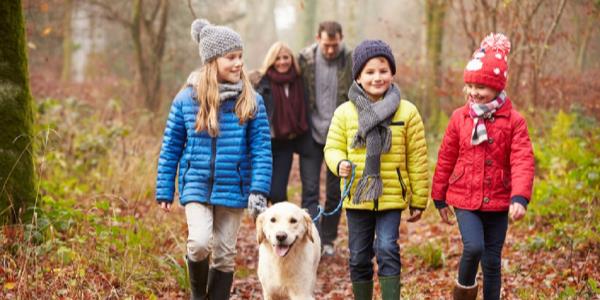 Gli animali migliorano la salute dei bambini