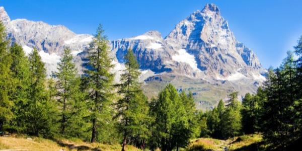 Il maestoso Monte Cervino si staglia contro il cielo blu, circondato da una foresta di conifere in un paesaggio montano alpino