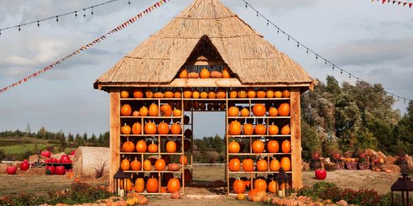 Campi di Zucche You-Pick in Italia: Divertimento Autunnale per Bambini nel 2025
