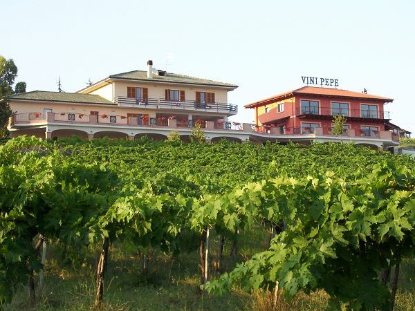 Agriturismo Emidio Pepe - foto 10097.jpg