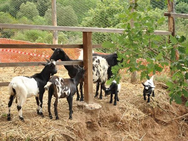 Agriturismo l�Introvabile  - foto 10202.jpg