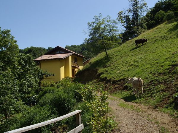 Agriturismo C� Tass - foto 10388.jpg