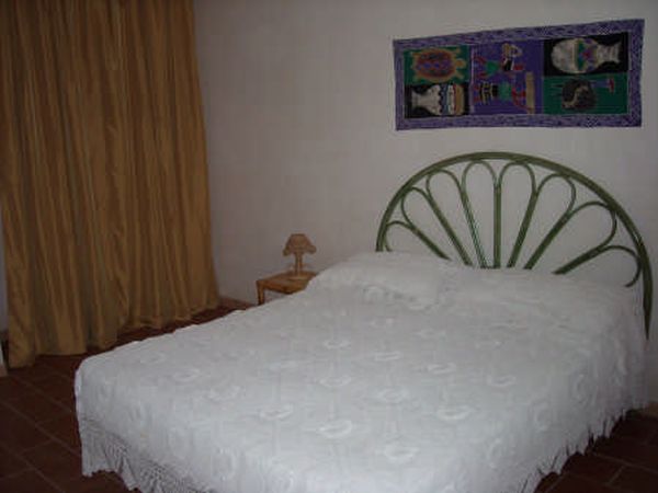 Corbezzoli e callistemon - foto 10403.jpg