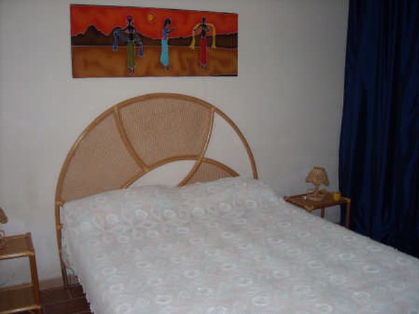 Corbezzoli e callistemon - foto 10404.jpg