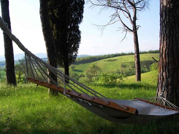 Azienda Agrituristica Il Sarale - foto 10418.jpg