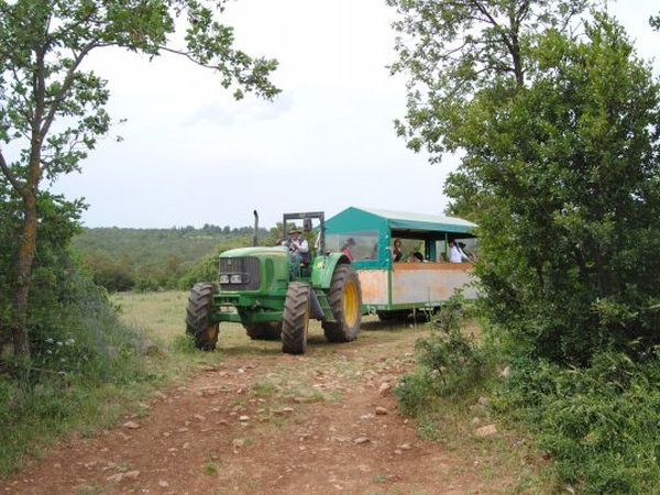 Agriturismo Amicizia - foto 10886.jpg