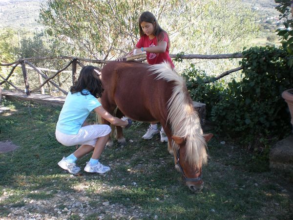 Margherita Holiday Home - foto 10950.jpg