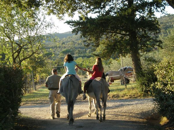 Margherita Holiday Home - foto 10952.jpg