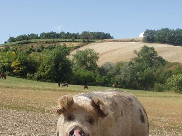 Cascina Aguzzafame - foto 11117.jpg