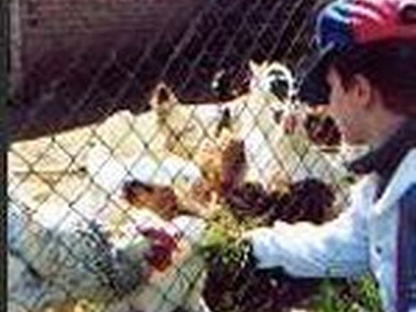 Fattoria di Marena - foto 11132.jpg