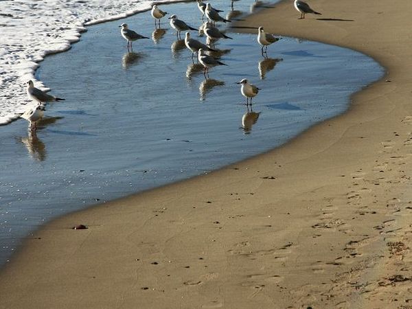 Hotel Badano Sul Mare  - foto 11416.jpg
