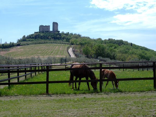 Sporting Hotel San Felice - foto 11426.jpg