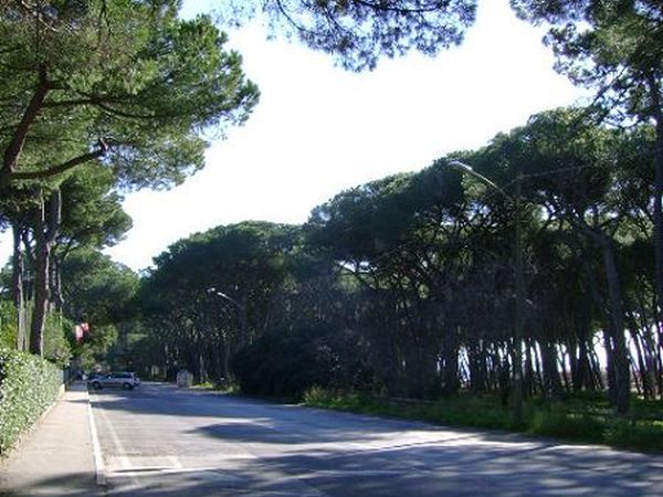 Elle Immobiliare  - foto 11477.jpg