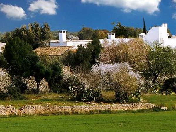 Masseria San Nicola - foto 11725.jpg