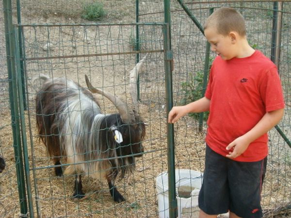 Agriturismo Sant�Andrea - foto 11863.jpg