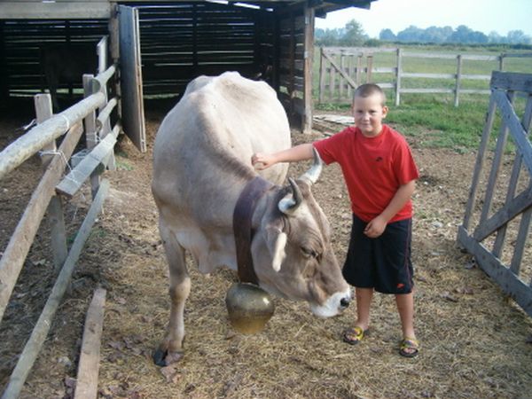 Agriturismo Sant�Andrea - foto 11864.jpg