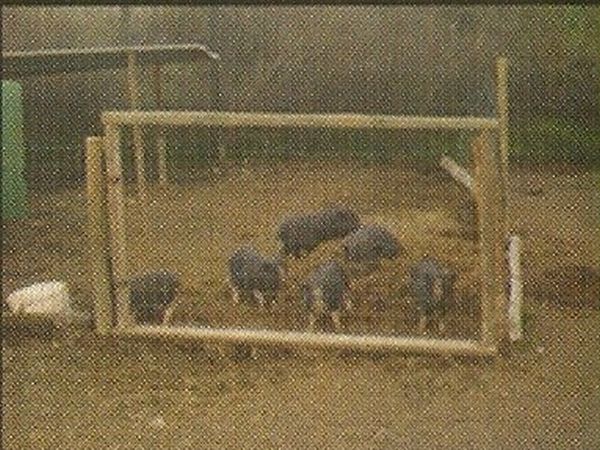 Agriturismo Sant�Andrea - foto 11865.jpg