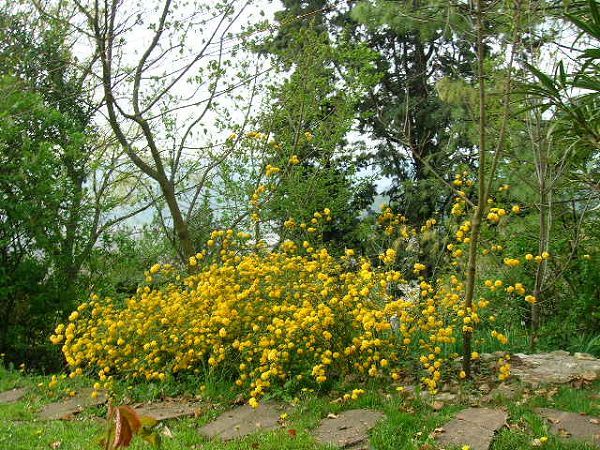 Ca� del Vento Appartamento Turistico B&B - foto 11938.jpg