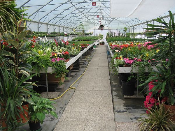 Agriturismo Acero Rosso - foto 11952.jpg