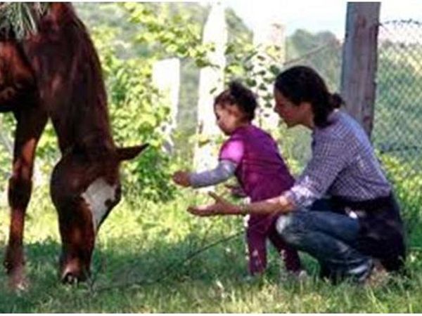 Equinozio B&B e Maneggio  - foto 12167.jpg