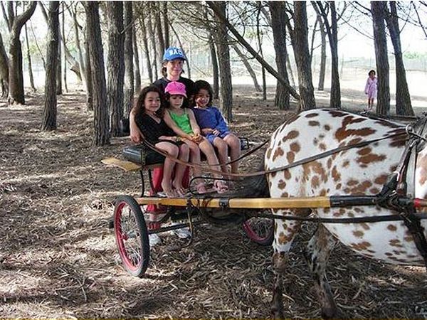 Villaggio Camping Mimosa - foto 12233.jpg