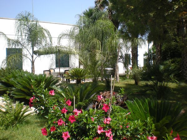 Masseria Lama - foto 12352.jpg