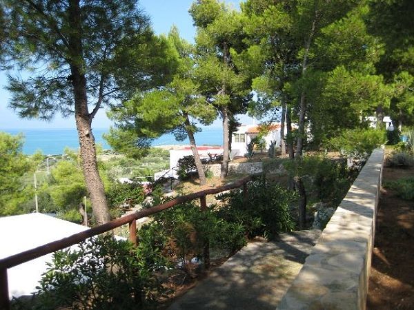 Centro Vacanze Piccolo Friuli - foto 12728.jpg