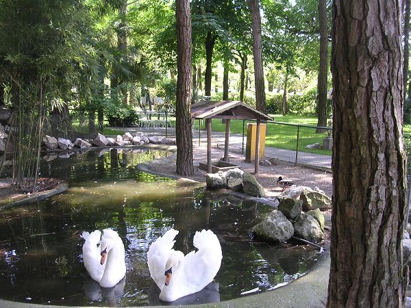 Valdor Holiday Center - foto 12794.jpg