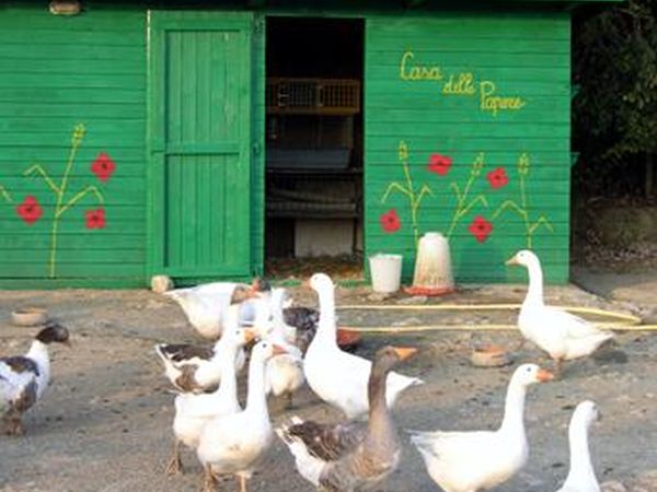 La Fattoria di Valentina - foto 13286.jpg