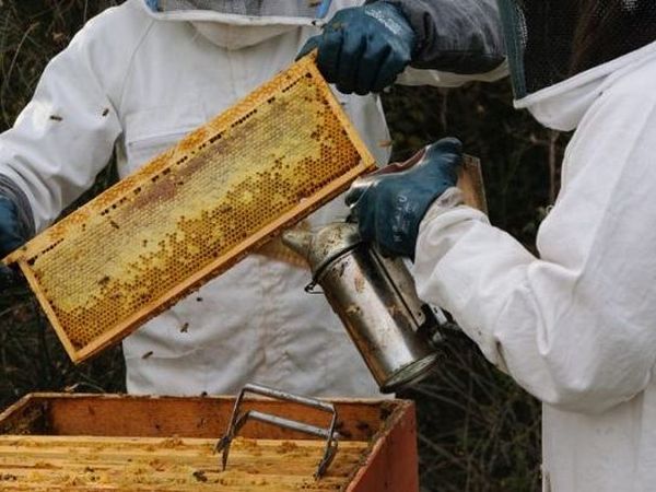 La Fattoria di Valentina - foto 13287.jpg