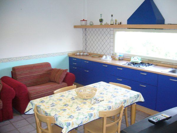 Cuore di palme - foto 13420.jpg