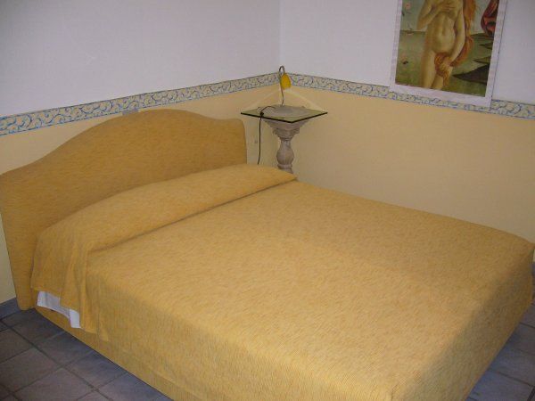 Cuore di palme - foto 13421.jpg