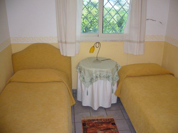 Cuore di palme - foto 13422.jpg