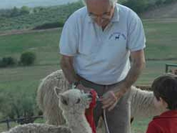 Agriturismo Maridiana Alpaca - foto 13627.jpg