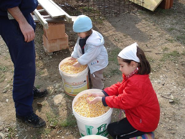 Rifugio del Lupo - foto 13715.jpg