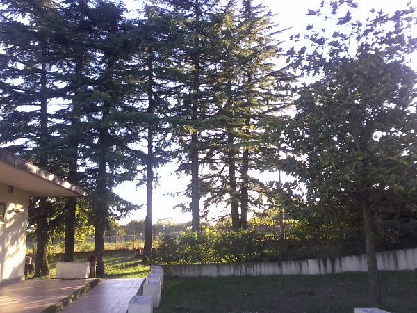 Bed & Breakfast San Rocco - foto 14003.jpg