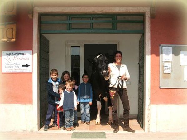 Agriturismo B&B La Meridiana - foto 14308.jpg